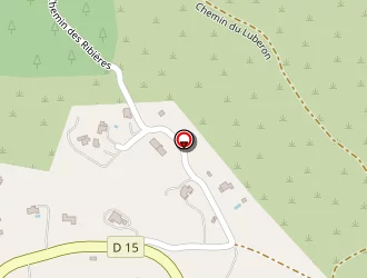 Carte de Stiegler - Chazarin Marie-lise à Rognes