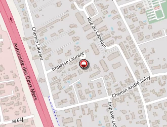 Carte de Odion Jean Michel à Aucamville