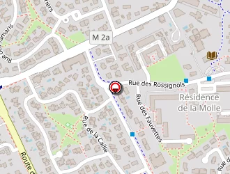 Carte de Soules Henri à Toulouse