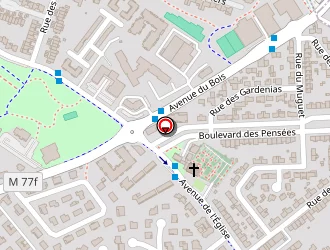 Carte de Pizzas Martine à Saint-jean