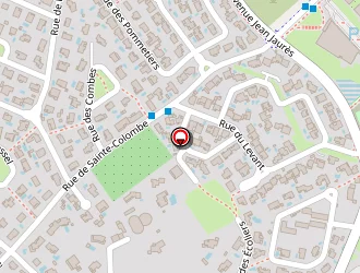 Carte de Transports Sanchez à Saint-brès