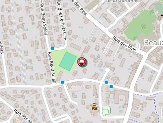 Carte de Dudognon Sylvie à Beauzelle