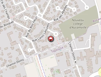 Carte de Biseau Grégory à Toulouse