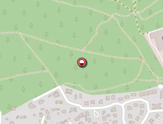 Carte de Auger Marie Dominique à Hossegor