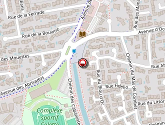 Carte de Torillon Arielle à Lunel