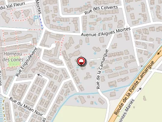 Carte de Saadi Ali à Lunel