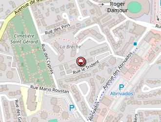 Carte de Bonamie Ramonage à Lunel