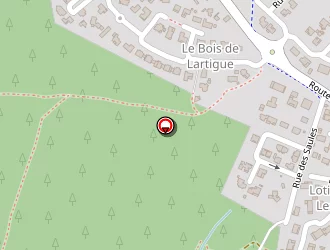 Carte de Rostan Angéla à Saubion