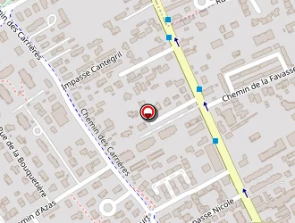 Carte de Bénédicte Thesse à Aucamville