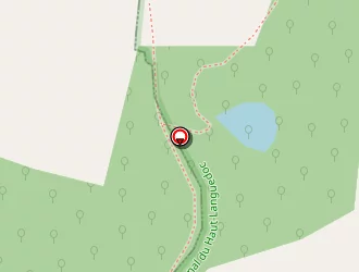 Carte de Richard Christian à Roquecourbe