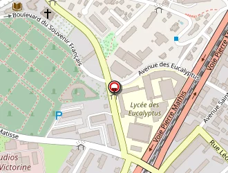 Carte de Petel S. à Nice