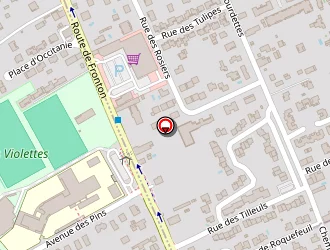 Carte de Appel Intérim Toulouse à Aucamville