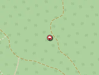 Carte de Laur Gilbert à Lacaune