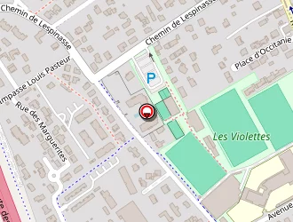 Carte de Poumirol Stéphanie à Aucamville