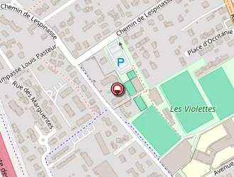 Carte de Astréa Services à Aucamville