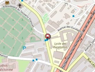 Carte de Volla Georges à Nice