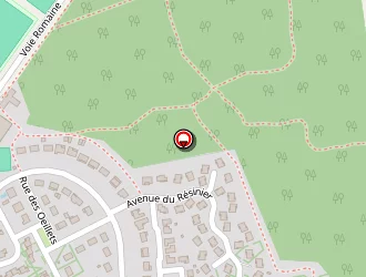 Carte de Aeds à Saint-vincent-de-tyrosse