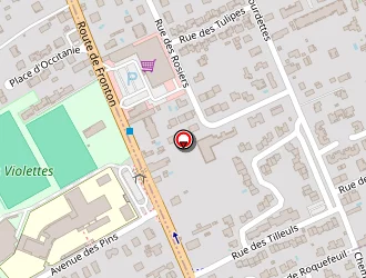 Carte de Cazeneuve Michel à Aucamville