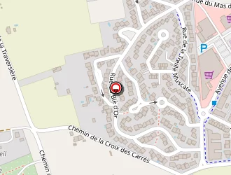 Carte de Fornieles Camille à Lunel