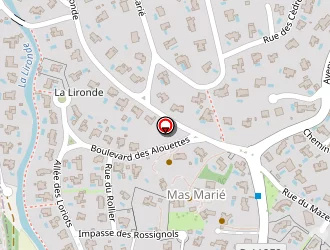 Carte de Antinéa à Saint-clément-de-rivière