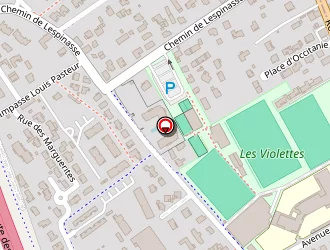 Carte de Taxi Patrick à Aucamville