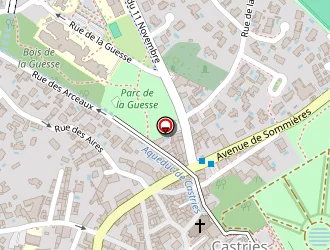 Carte de Castries Audition à Castries