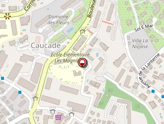 Carte de Araucaria Pizza à Nice