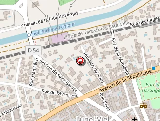 Carte de Goran Inès à Lunel-viel