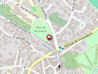 Carte de Melia Camille à Castries