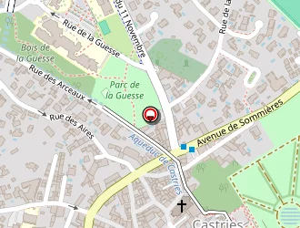 Carte de Berat Corinne à Castries