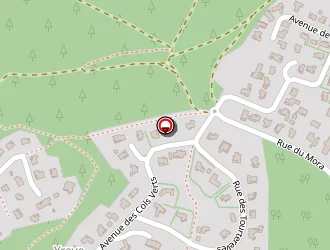 Carte de Revel Bernard à Seignosse