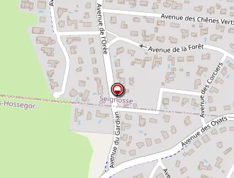 Carte de Sancey Sandrine à Hossegor