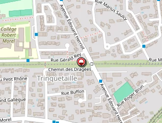 Carte de Trinquetaille Auto à Arles