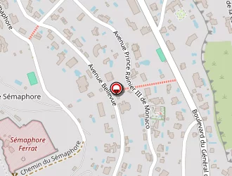 Carte de Snow Flower à Saint-jean-cap-ferrat