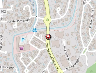 Carte de Net Auto à Saint-gély-du-fesc