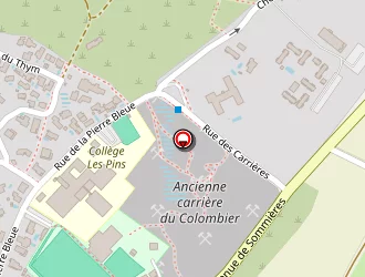 Carte de Ozalées à Castries