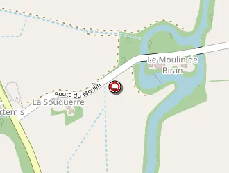 Carte de Silos Vicois à Biran