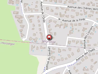 Carte de Pichon Romy à Seignosse