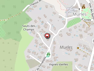 Carte de Fages Elagage à Murles