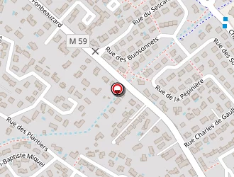 Carte de Ciprian Christian Conseils à Castelginest