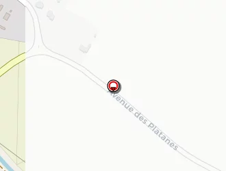 Carte de Rigal Pierre à Gragnague