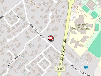 Carte de Combes Jacques à Lavaur