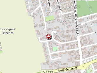 Carte de Lecacheur Jérôme à Aimargues