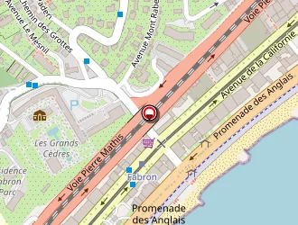 Carte de Tapis Sardje Ab à Nice