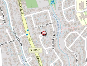 Carte de Latche Patrick à Saint-gély-du-fesc