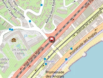 Carte de Mambo Pizza à Nice