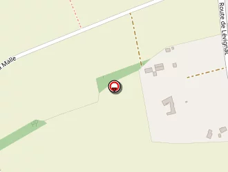 Carte de Buj Henri à Thil