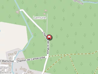 Carte de La Petite Tribu à Seignosse