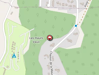 Carte de Schuffenecker Thierry à Cagnes-sur-mer