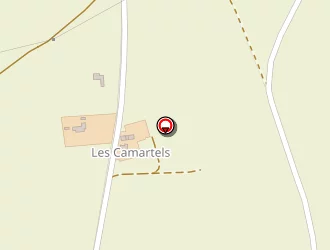 Carte de Tillandsia Prod à Cailar (le)